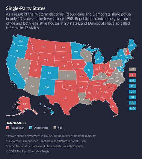 State-LevelVariations:APatchworkofPolicies